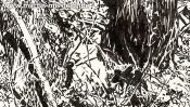 Zauberwald Bei Chorin (Detail 1)