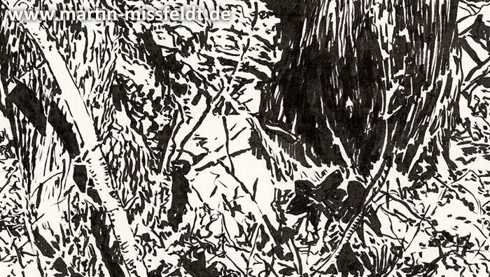 Zauberwald Bei Chorin (Detail 1)