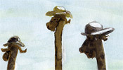 Die Jungs mit den Sonnenhüten