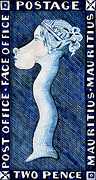 Blaue Mauritius Cartoon Blaue Mauritius Cartoon
