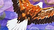 Fliegender Adler (Aquarell) - Detail 1