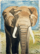 Afrikanischer Elefant