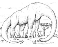 Dinosaurier mit 5 Beinen (optische Illusion)