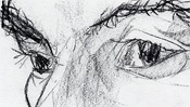 Augen