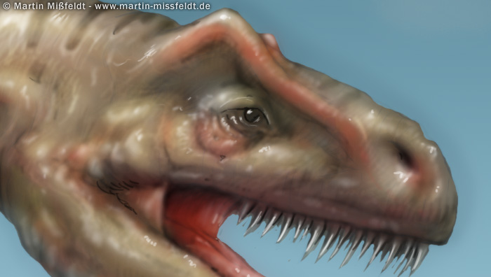 Allosaurus Kopf