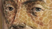 Aristoteles Augen