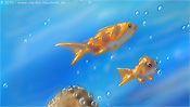Goldfische schwimmen am Riff