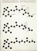 11-cis-Retinal / all-trans-Retinal