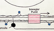 Bewegter Punkt auf dem Bild