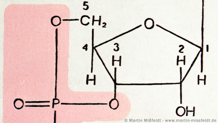 Chemische Formel