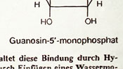 Guanosin-5-monophosphat