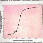 Photolyse des Rhodopsin