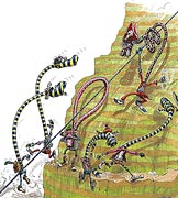 Piraten - Terror in den Alpen