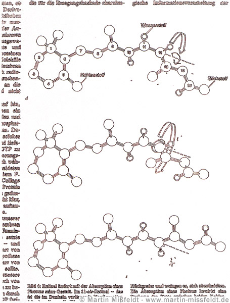 Zeichnung 11-cis-Retinal