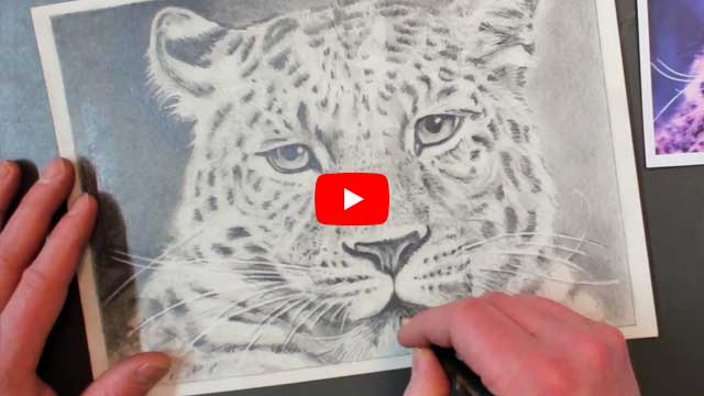 Bleistiftzeichnung Leopard