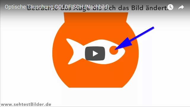 Optische Täuschung: Goldfisch