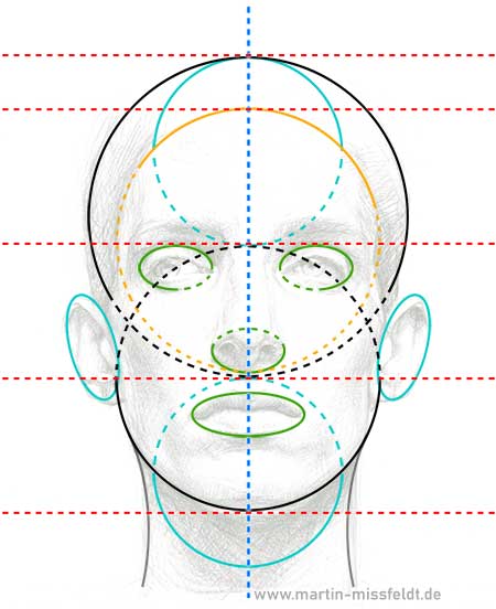 Proportionen im Gesicht: Drittelregel und Grundformen