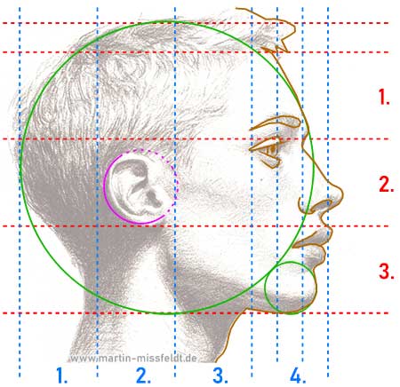 Gesicht im Profil: Proportionensregeln