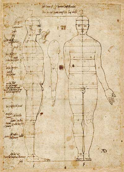 Proportionen beim Menschen - Studie von Albrecht Dürer