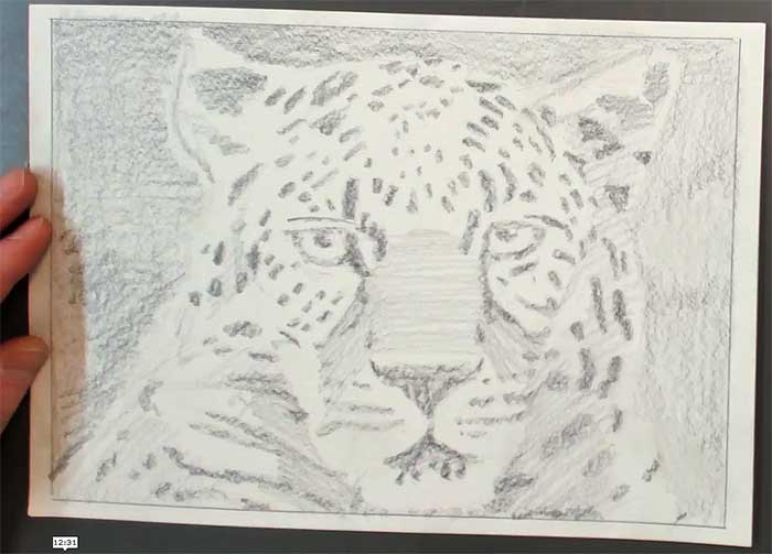 Skizze eines Leoparden